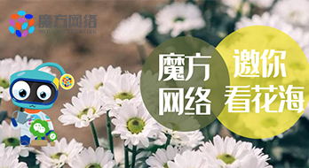 海豐花園5.18盛大(dà)開(kāi)園，魔方邀您一(yī)起去(qù)賞花!